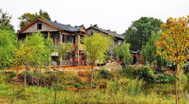 开云电竞app下载安装