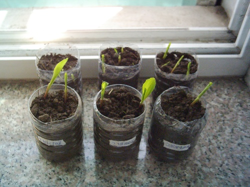 开云电竞app下载安装