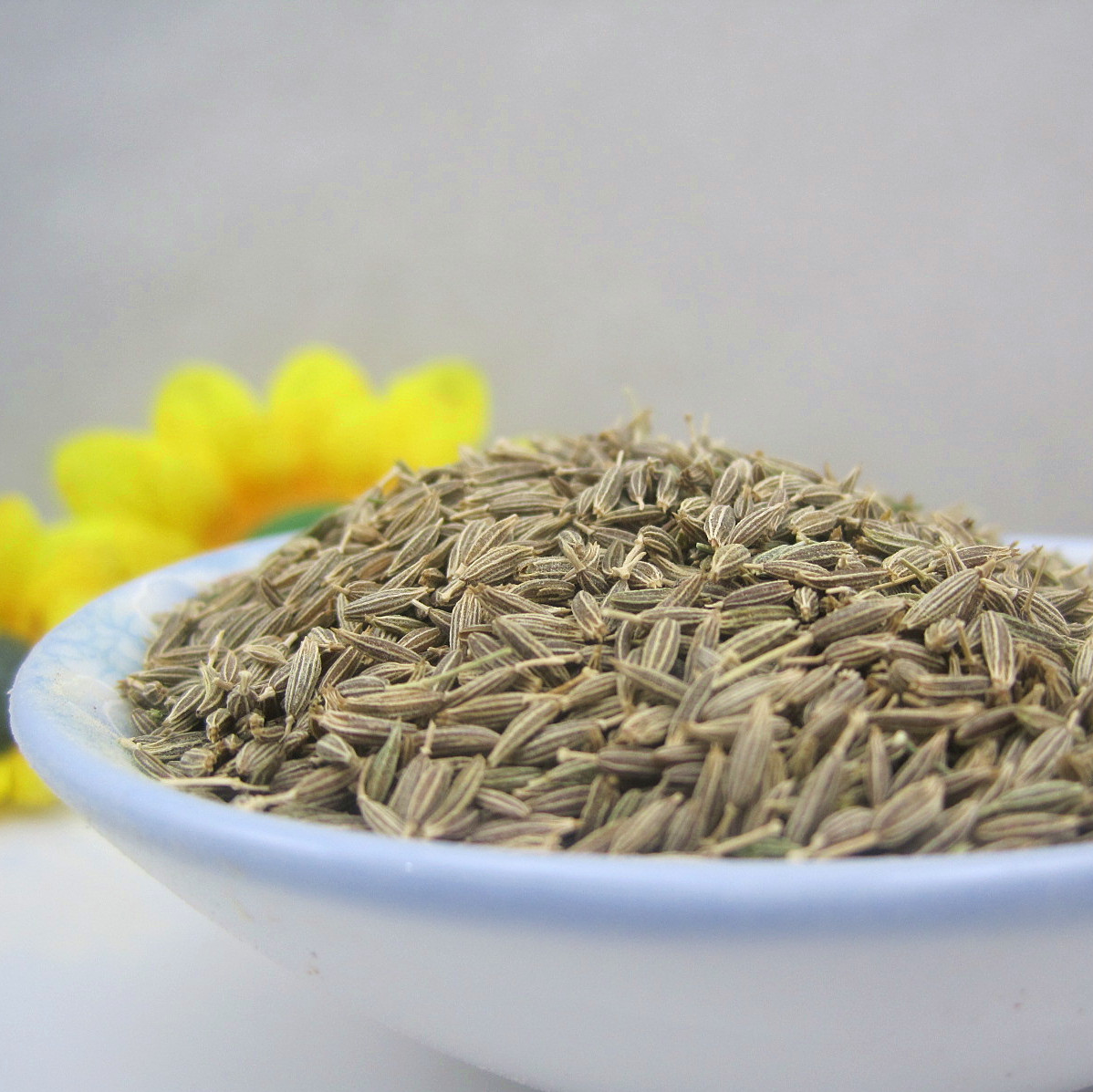 开云电竞app下载安装