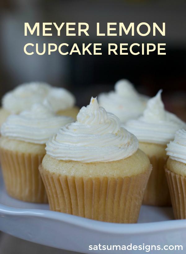 希拉里与议员挽手大笑吃冰淇淋 最新选情投票结果-开云电竞app下载安装(图1) 开云电竞官网