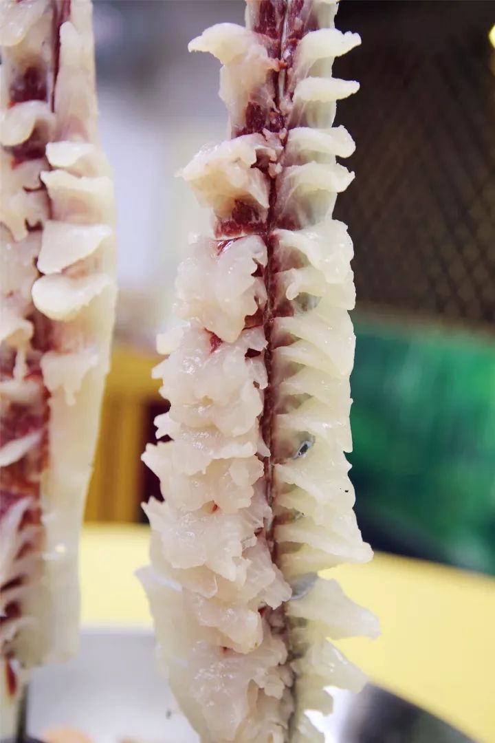 开云电竞官网|日本300地举行示威活动 百万人反对新安保法(图)(图1) 开云电竞app下载安装