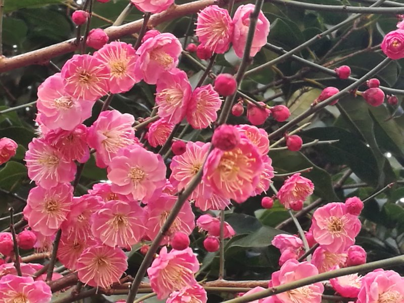 开云电竞app下载安装