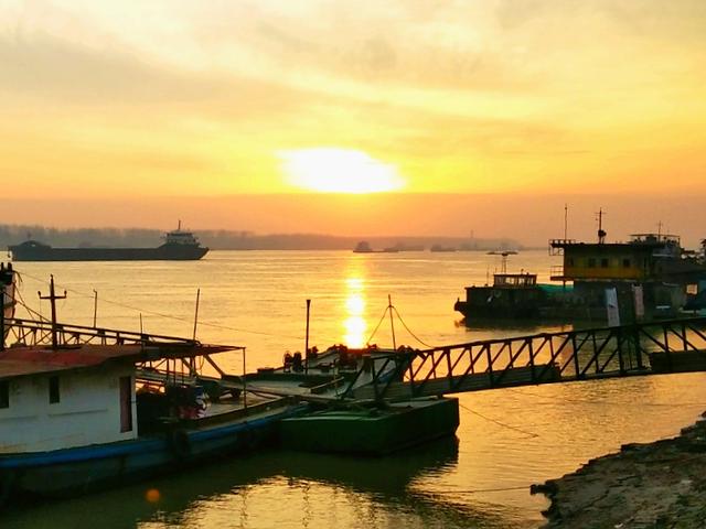 开云电竞官网|曝狗狗翻垃圾桶觅食发现弃婴现场图片 叼起向居民求救(图1) 开云电竞官网