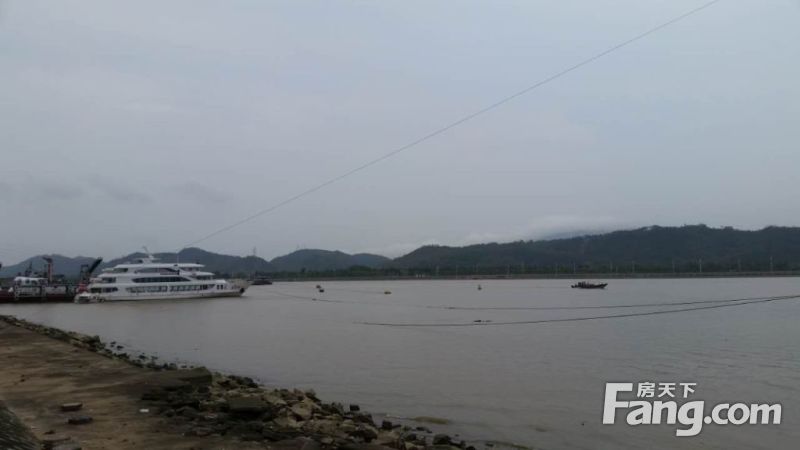 前萨达姆亲信加入IS被打死 多名同伙被击毙-开云电竞(图1) 开云电竞app下载安装