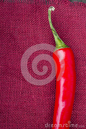 开云电竞app下载安装