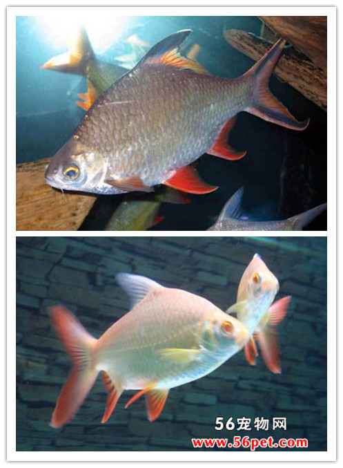 周末不知道去哪里玩?-开云电竞(图2) 开云电竞官网