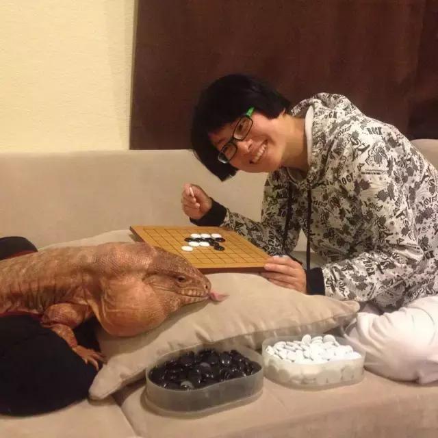 开云电竞app下载安装